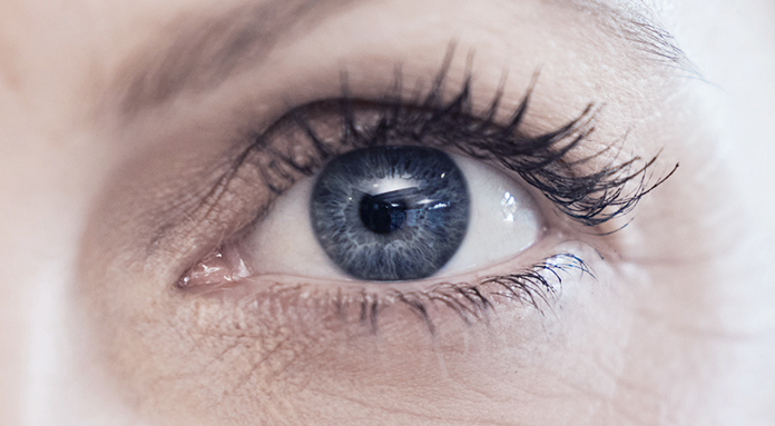 2023 0822 Distrofias de cornea - Blog